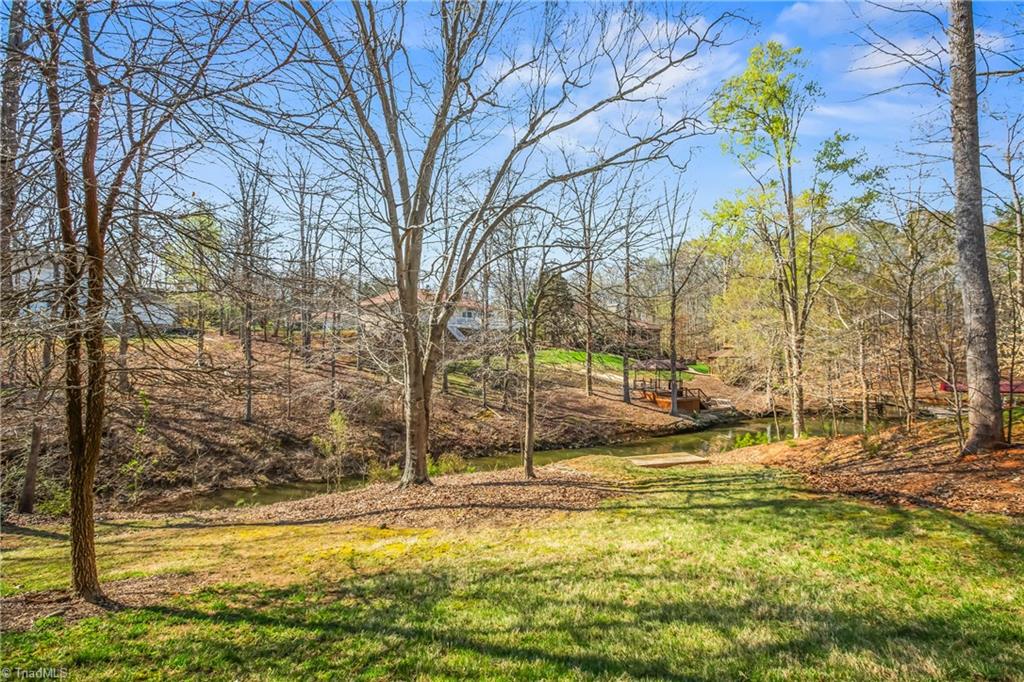 359 Marigold Lane Property Photo 47