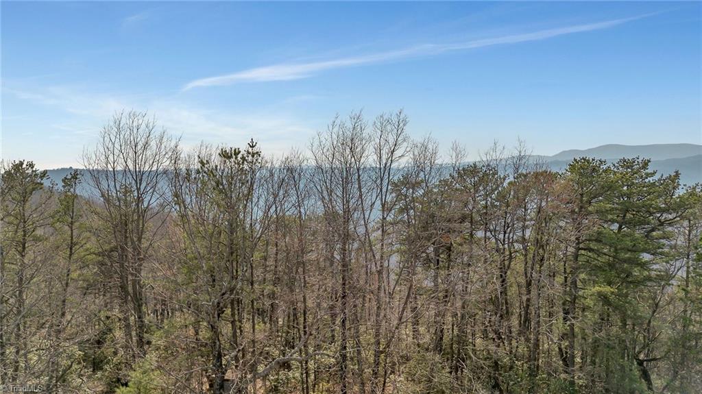 Tbd White Oak Road Property Photo 19