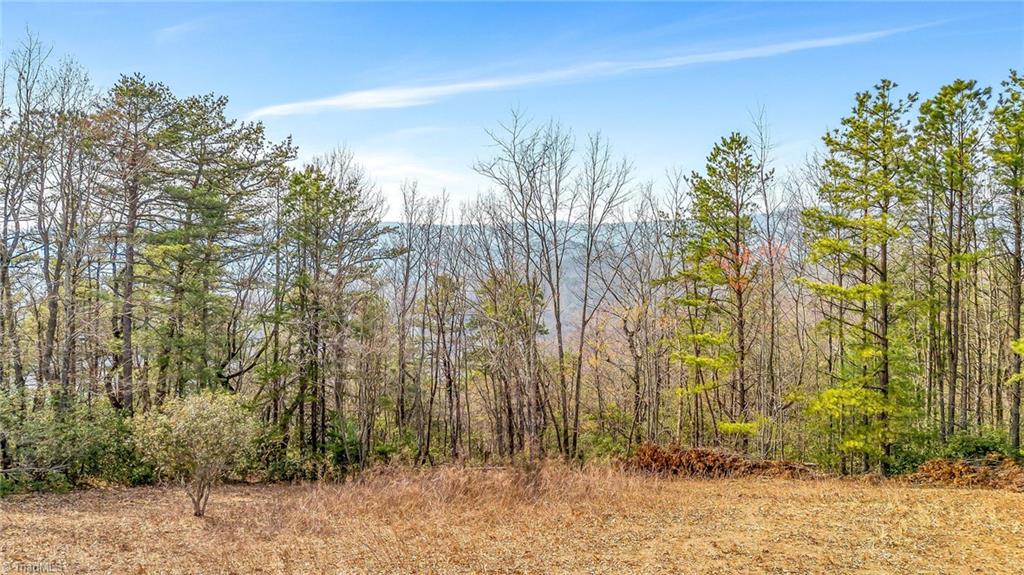 Tbd White Oak Road Property Photo 20