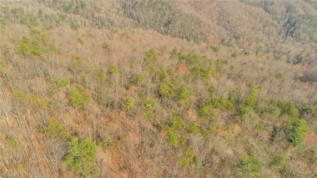 Tbd White Oak Road Property Photo 28