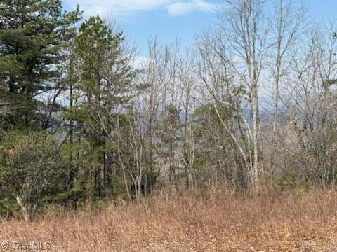 Tbd White Oak Road Property Photo 29