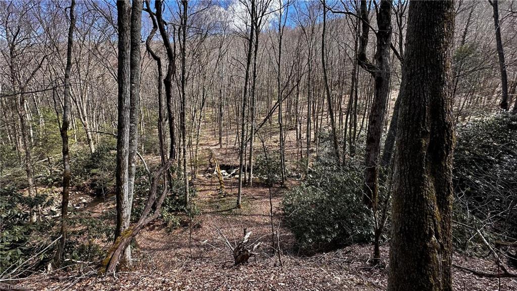 000 Nc Highway 194 Property Photo