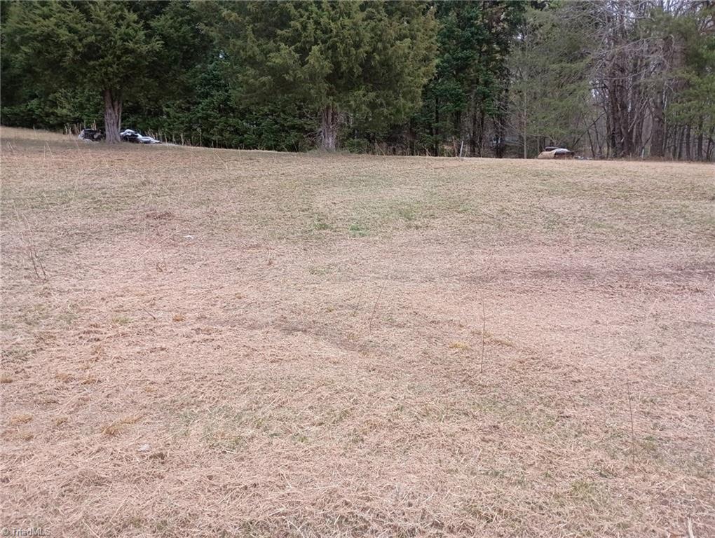 4605 Nc Highway 14 Property Photo 2