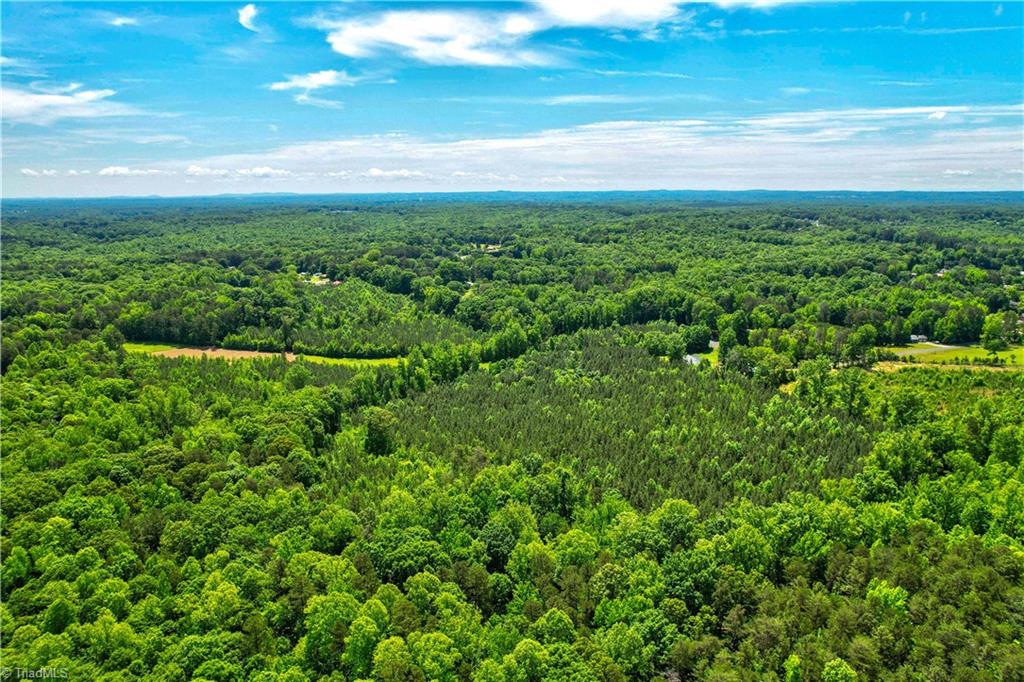 0 Catawba Drive Property Photo 9