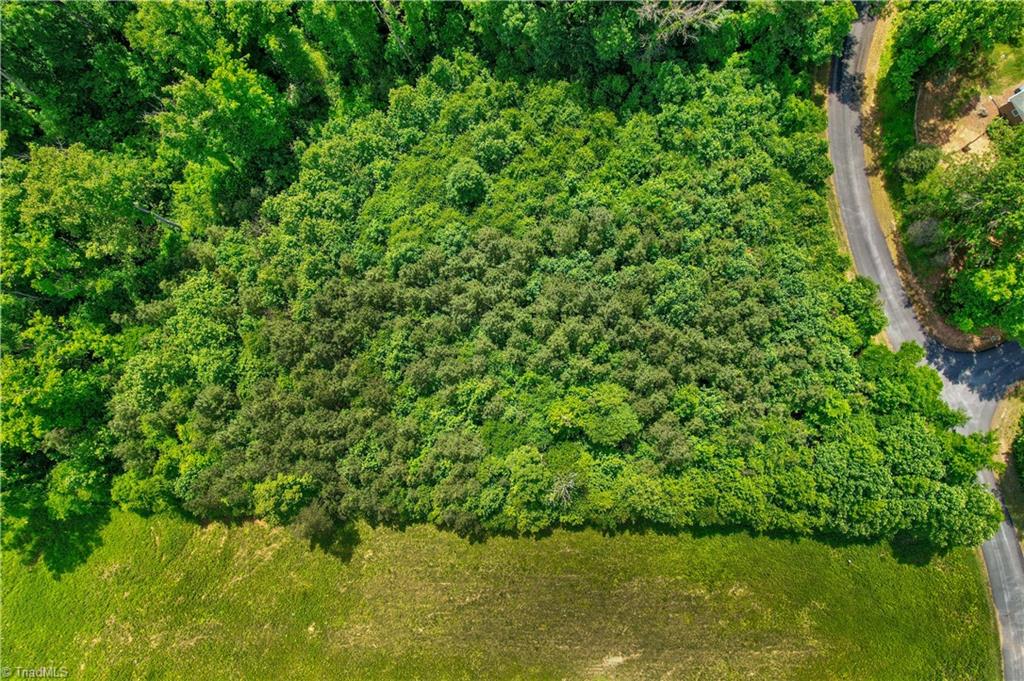 0 Catawba Drive Property Photo 28