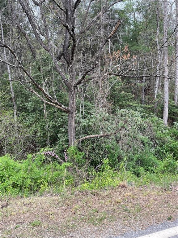 447 Brewer Mill Road Property Photo 1