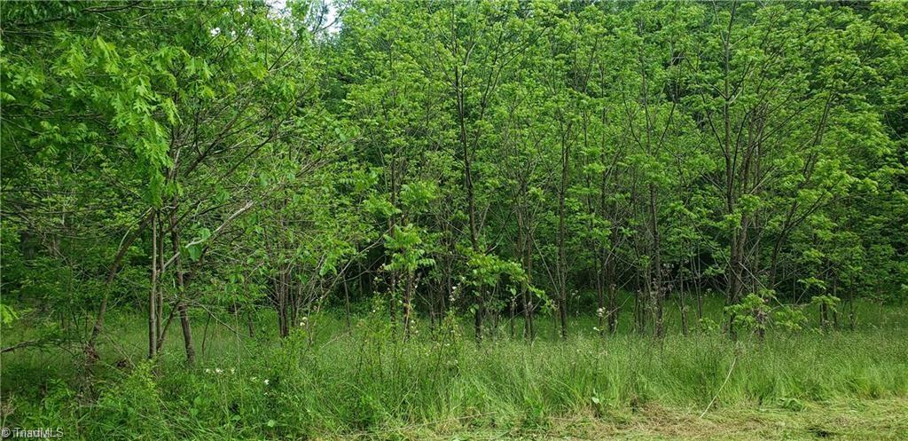 180 Carters Ridge Road Property Photo