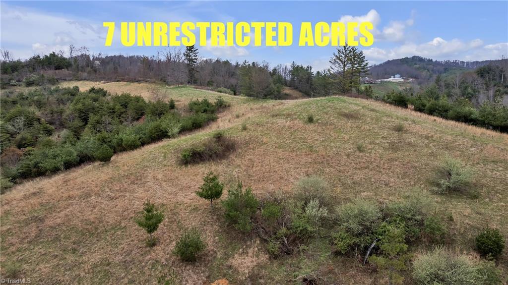 Tbd Nc Highway 16 N Property Photo
