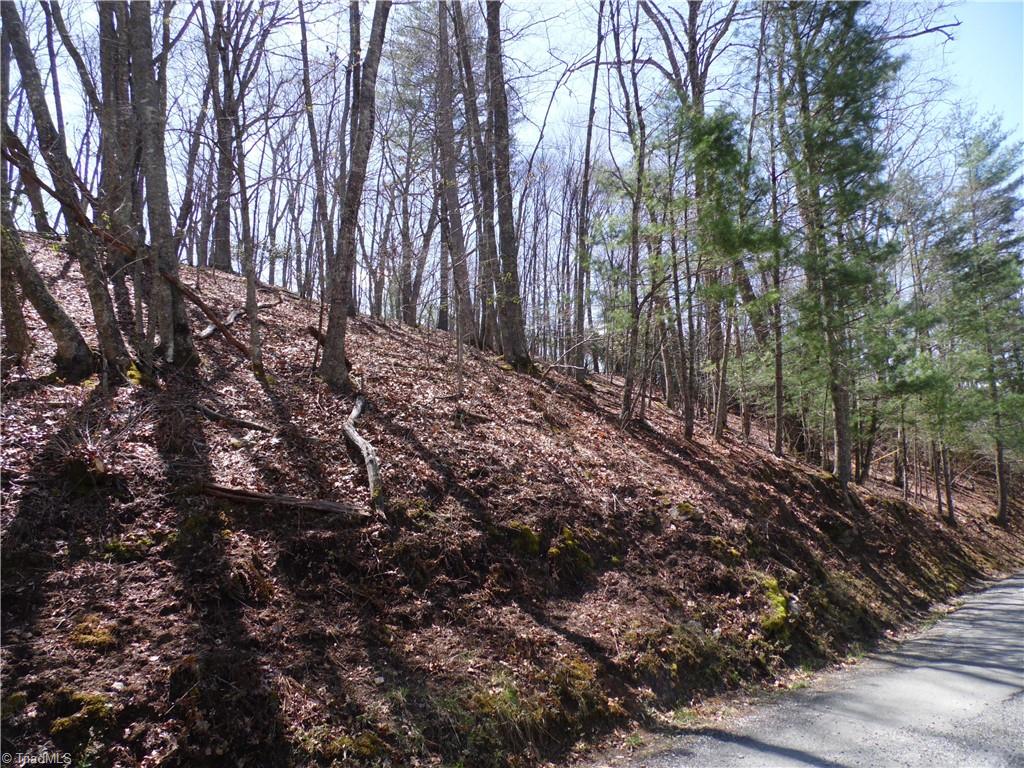 #31 & #32 Happy Ridge Road Property Photo 1