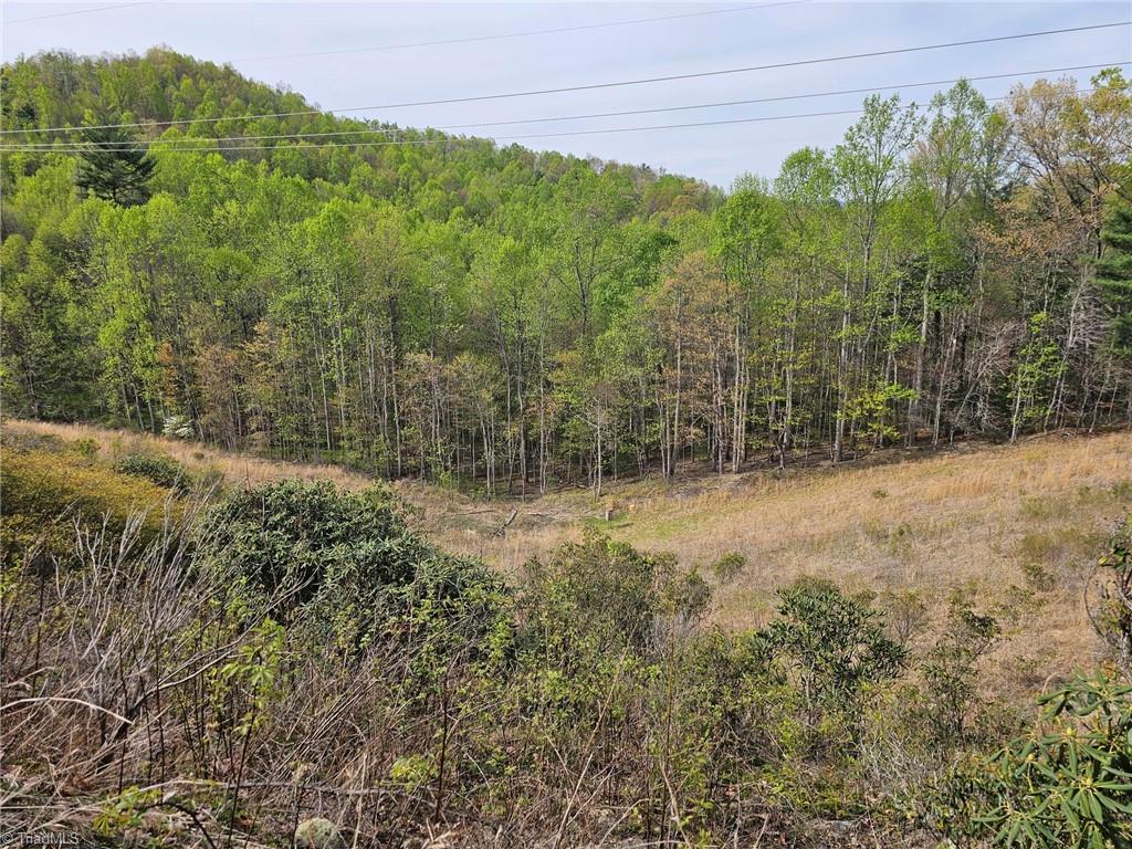 Off N Nc Highway 16 Property Photo