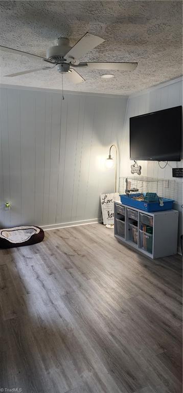 123 Misty Mountain Lane Property Photo 3