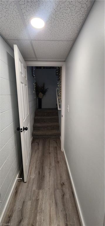 123 Misty Mountain Lane Property Photo 4