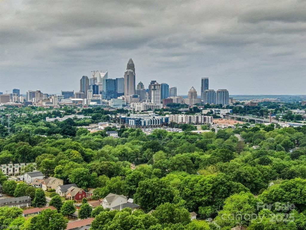 1111 Parkwood Avenue Property Photo