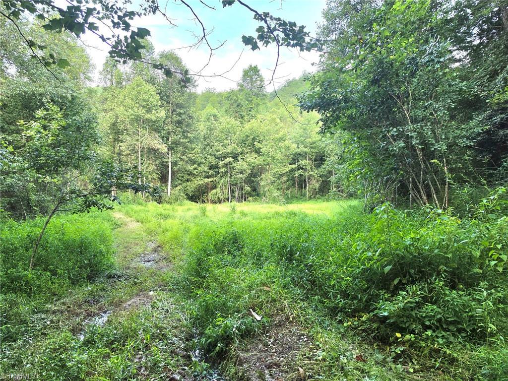 00 Elk Creek Darby Road Property Photo 1
