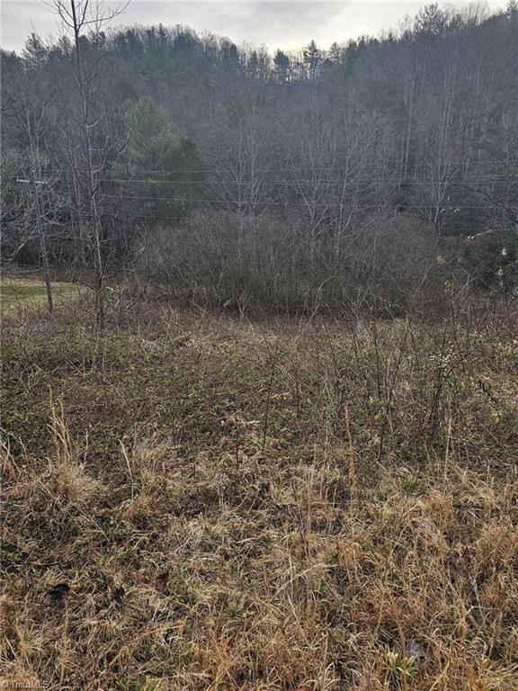 00 Elk Creek Darby Road Property Photo 2