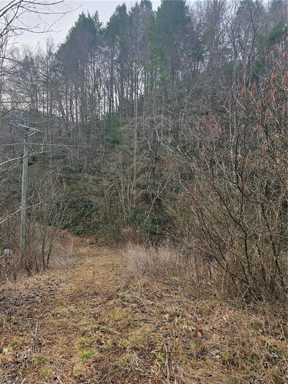 00 Elk Creek Darby Road Property Photo 3