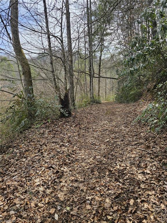 00 Elk Creek Darby Road Property Photo 4