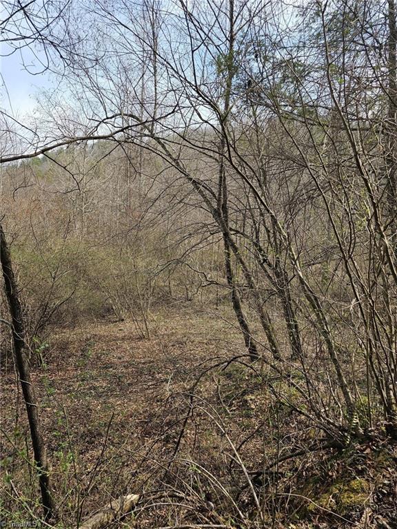 00 Elk Creek Darby Road Property Photo 5