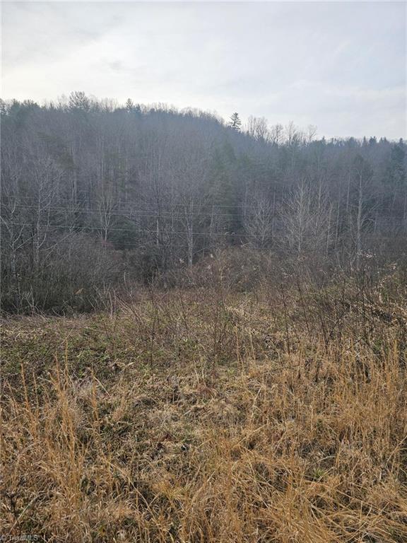 00 Elk Creek Darby Road Property Photo 7