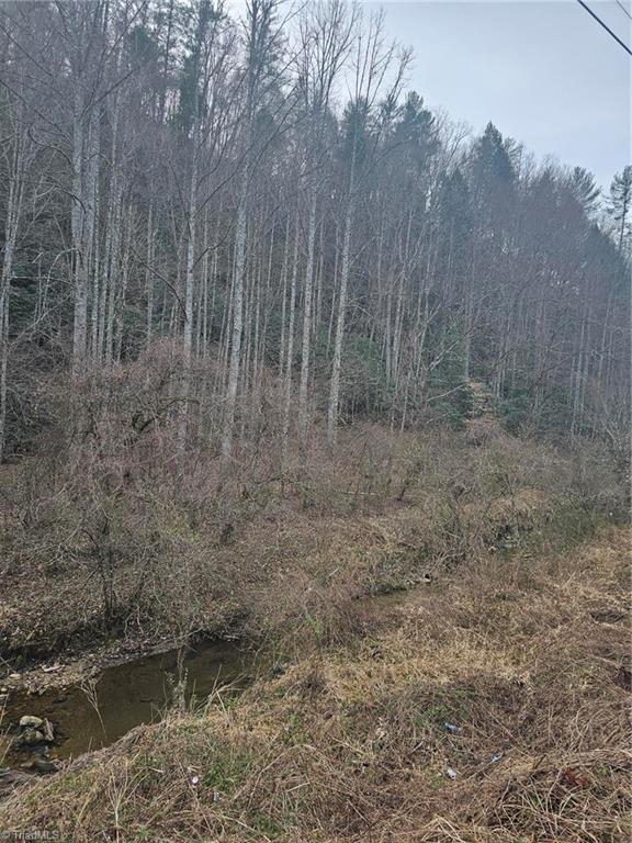 00 Elk Creek Darby Road Property Photo 8