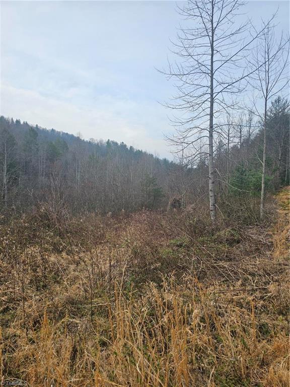 00 Elk Creek Darby Road Property Photo 9