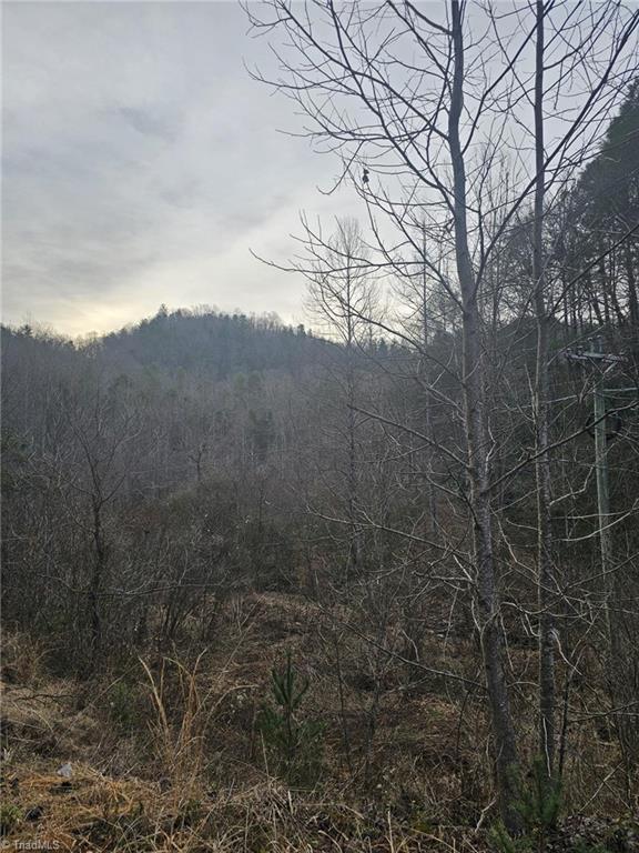 00 Elk Creek Darby Road Property Photo 10