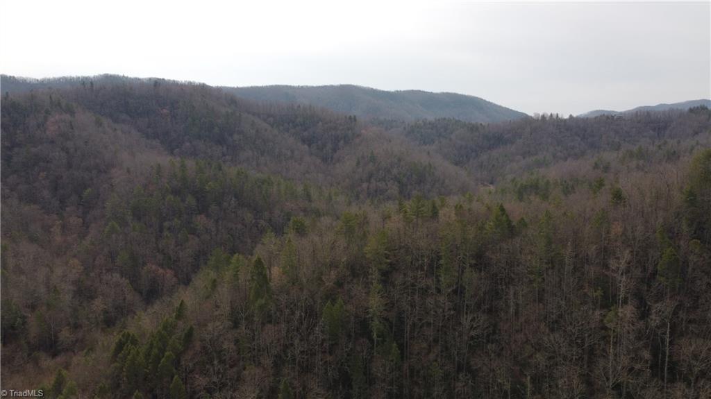 00 Elk Creek Darby Road Property Photo 11