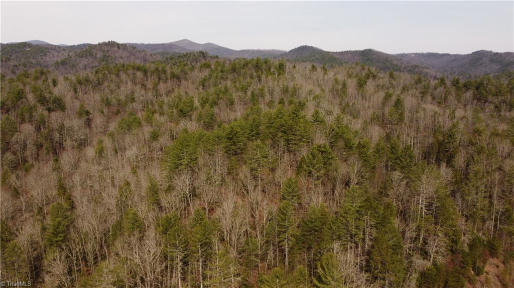 00 Elk Creek Darby Road Property Photo 12