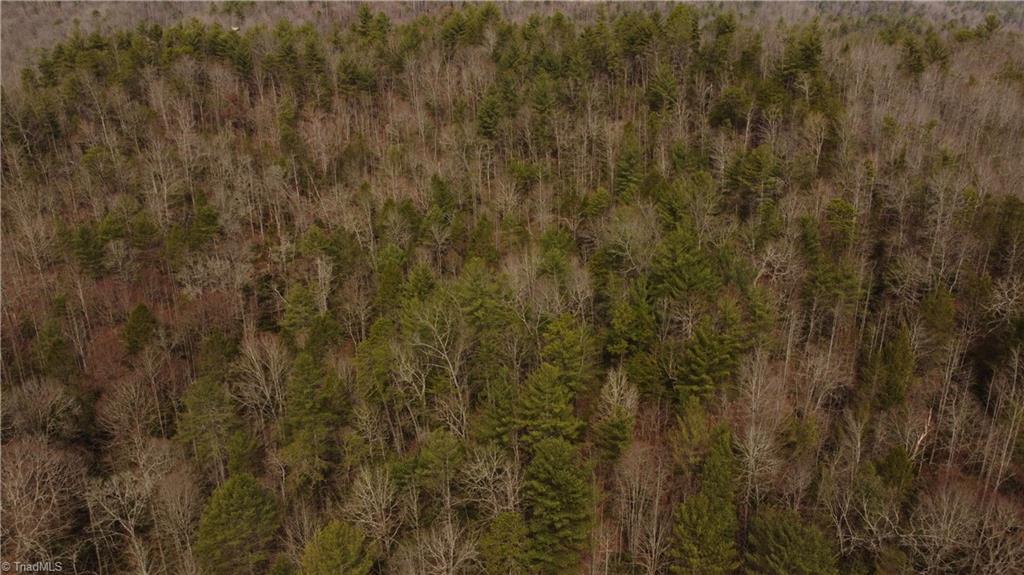 00 Elk Creek Darby Road Property Photo 16