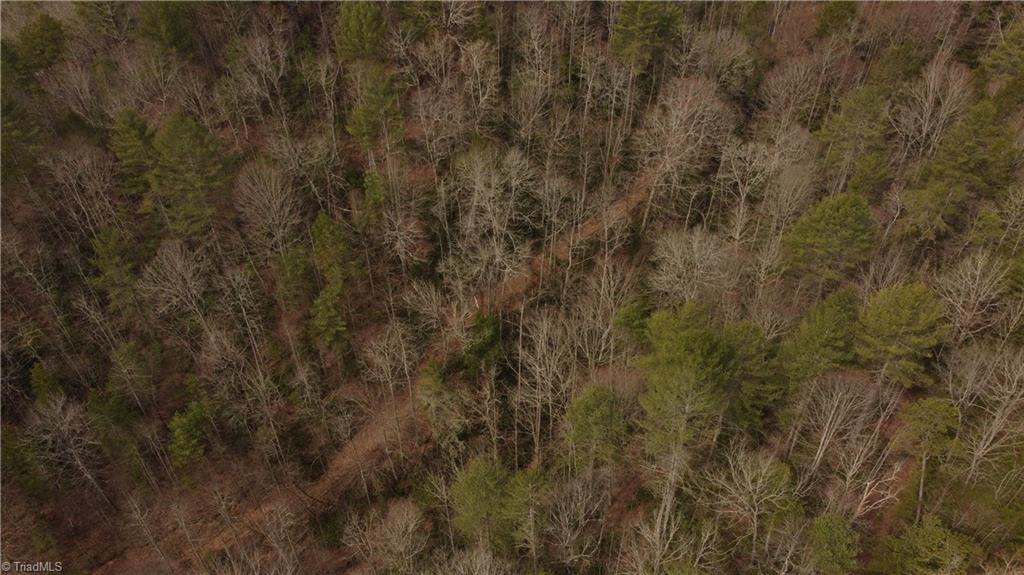 00 Elk Creek Darby Road Property Photo 17