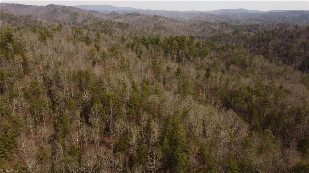 00 Elk Creek Darby Road Property Photo 18