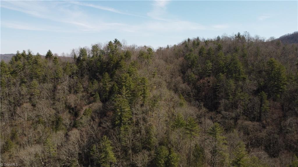 00 Elk Creek Darby Road Property Photo 20