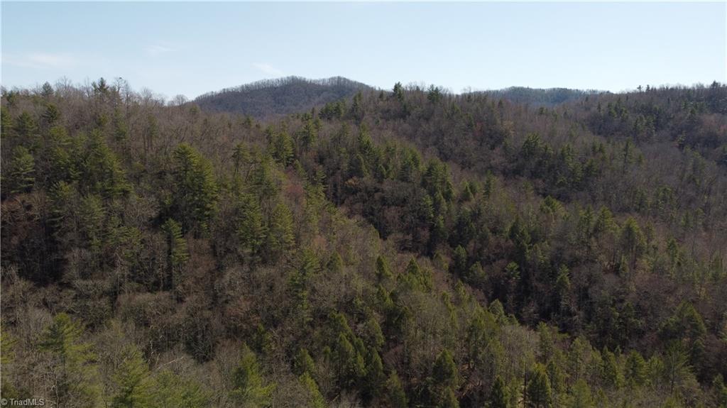 00 Elk Creek Darby Road Property Photo 21