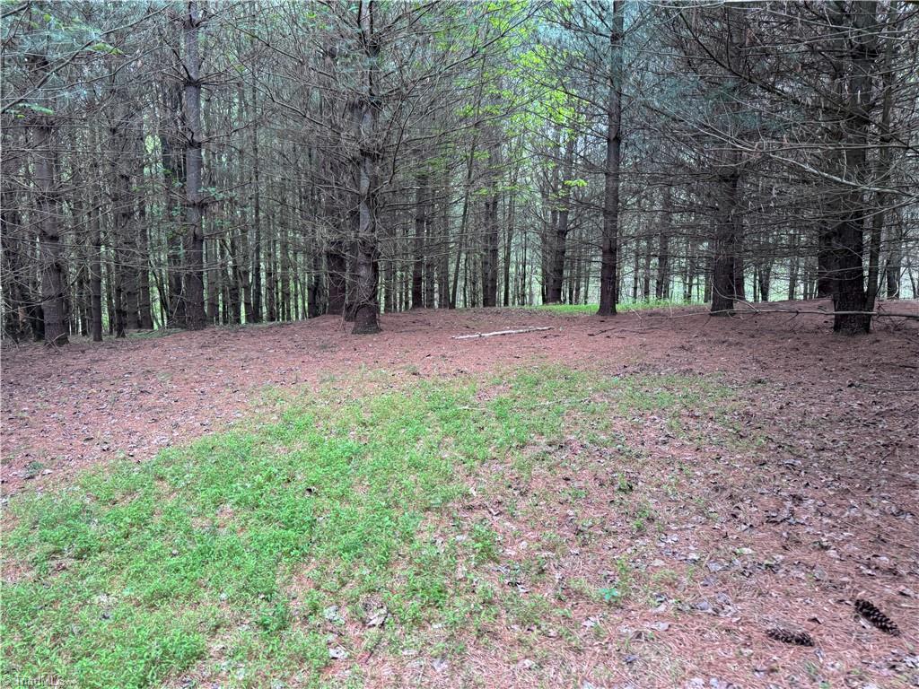 X Green Meadow Lane Property Photo 1