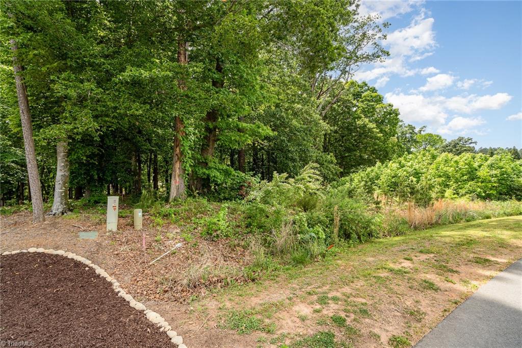 Lot 10 Eagle Pointe Drive Property Photo 8