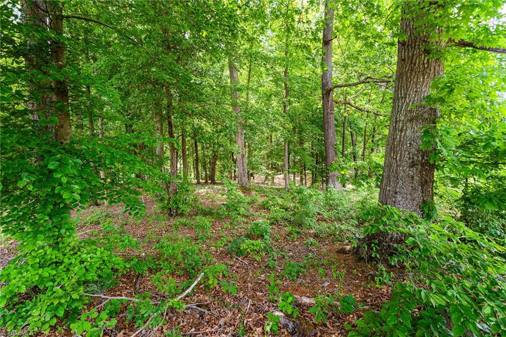 Lot 10 Eagle Pointe Drive Property Photo 9
