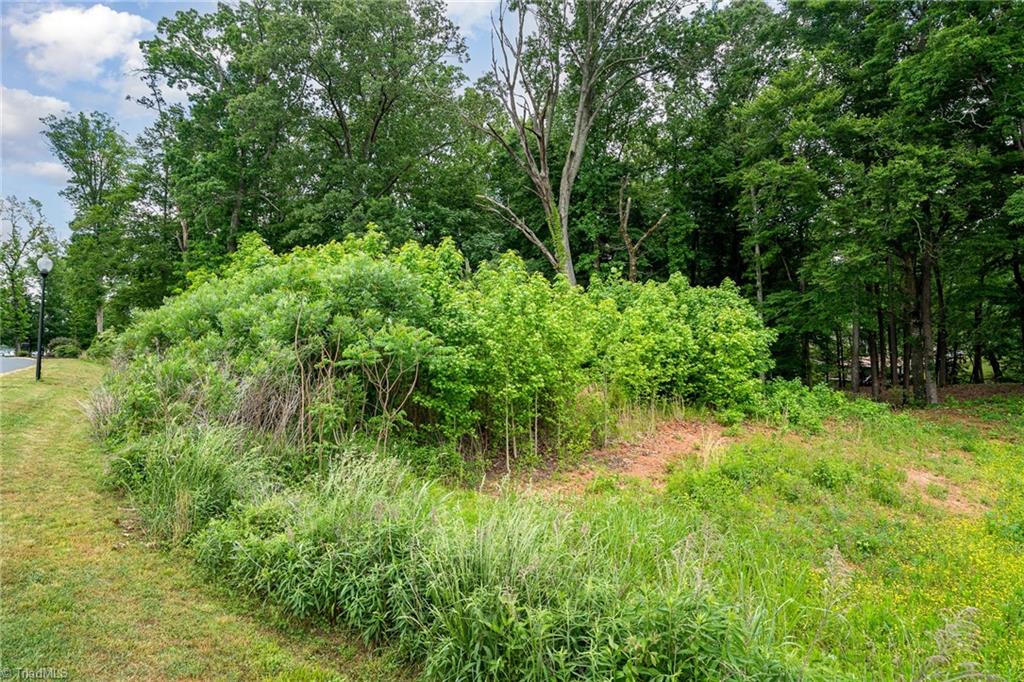 Lot 10 Eagle Pointe Drive Property Photo 10