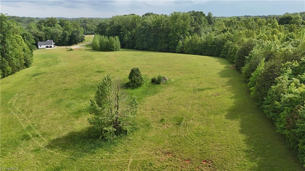 7111 Faucette Farms Drive Property Photo 7