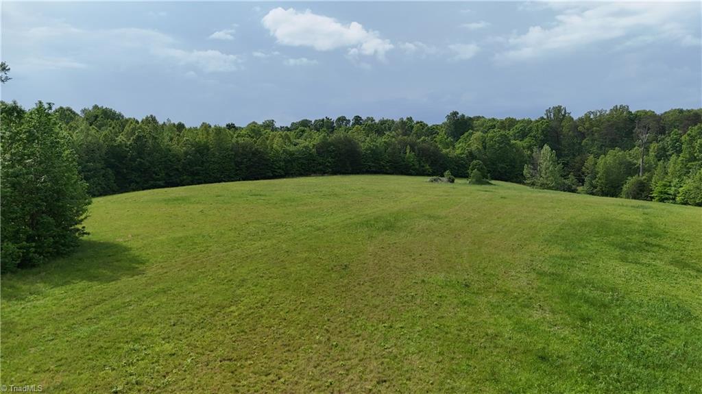 7111 Faucette Farms Drive Property Photo 8