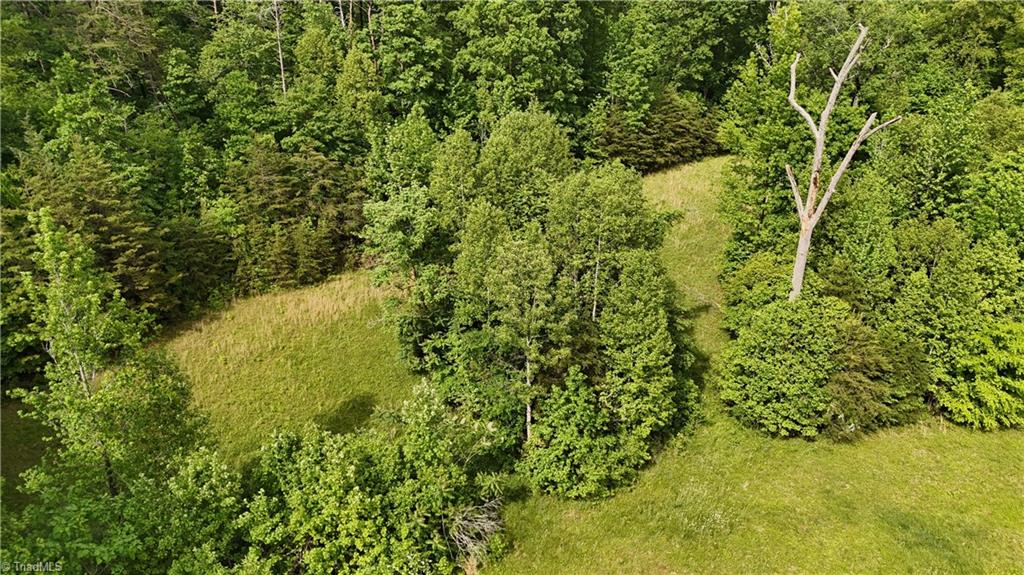 7111 Faucette Farms Drive Property Photo 10