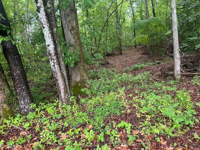 7111 Faucette Farms Drive Property Photo 11