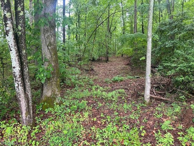 7111 Faucette Farms Drive Property Photo 12