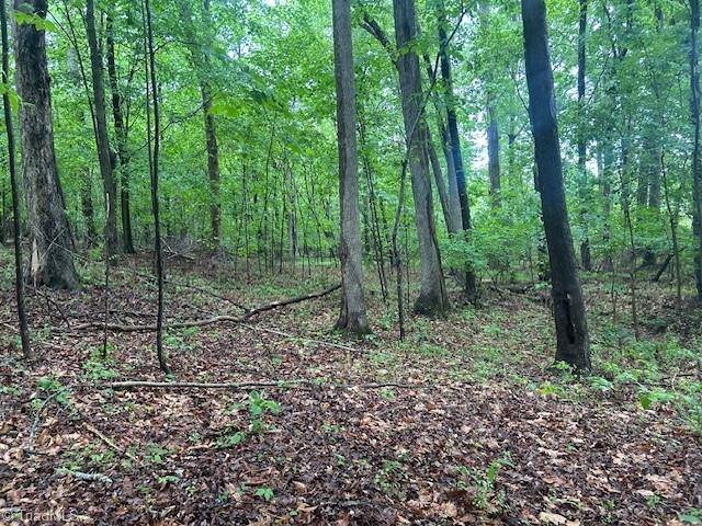 7111 Faucette Farms Drive Property Photo 13