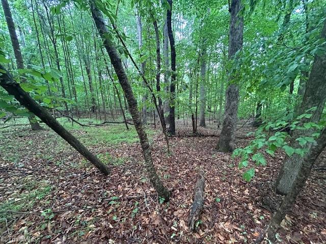 7111 Faucette Farms Drive Property Photo 14