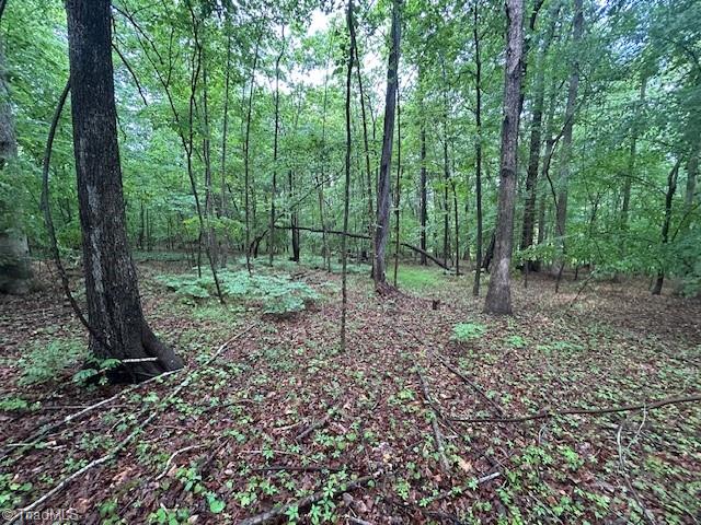 7111 Faucette Farms Drive Property Photo 15