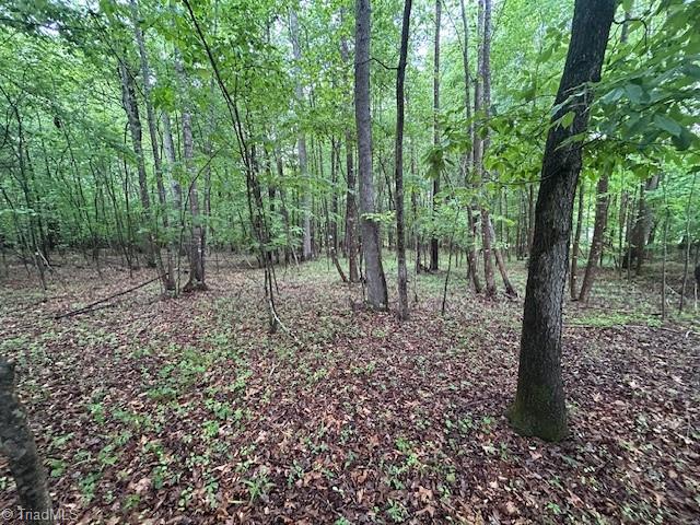 7111 Faucette Farms Drive Property Photo 16