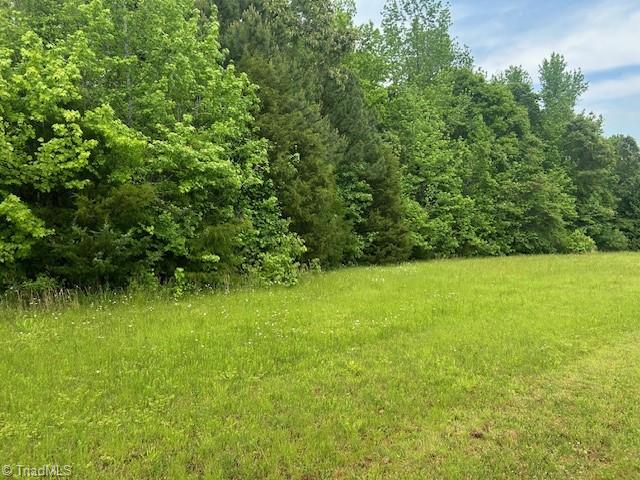 7111 Faucette Farms Drive Property Photo 17