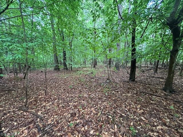 7111 Faucette Farms Drive Property Photo 18