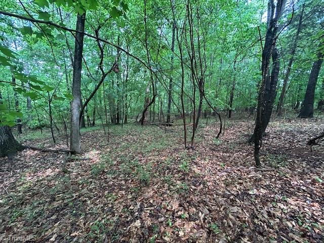 7111 Faucette Farms Drive Property Photo 19