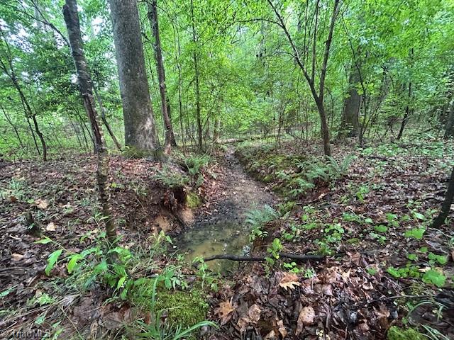 7111 Faucette Farms Drive Property Photo 20